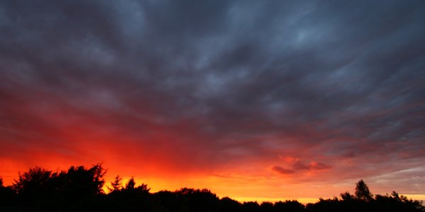IMG_9090_xs.jpg