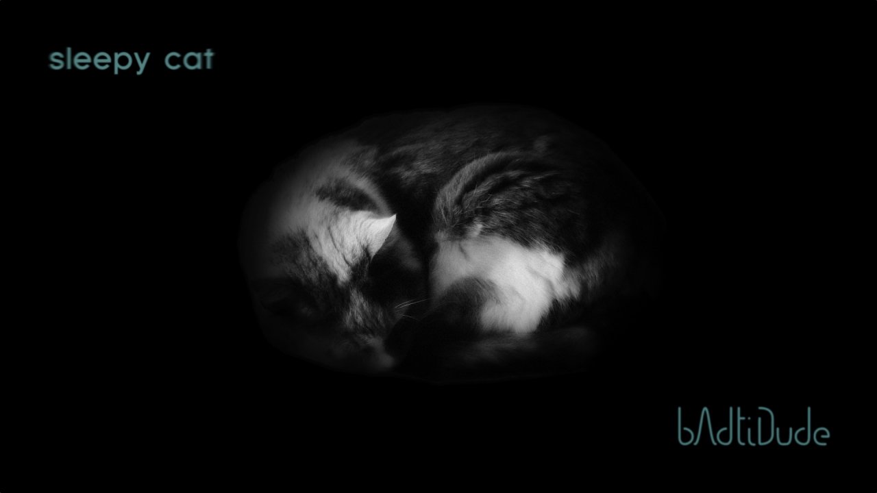 sleepyCat_video_thumbnail_1920x1080.jpg