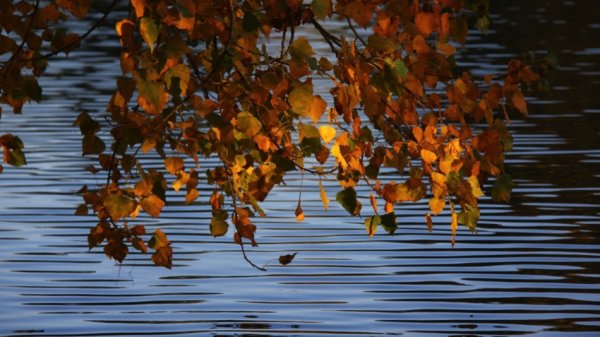 autumn_impressions_2010_10_10_0924_s.jpg