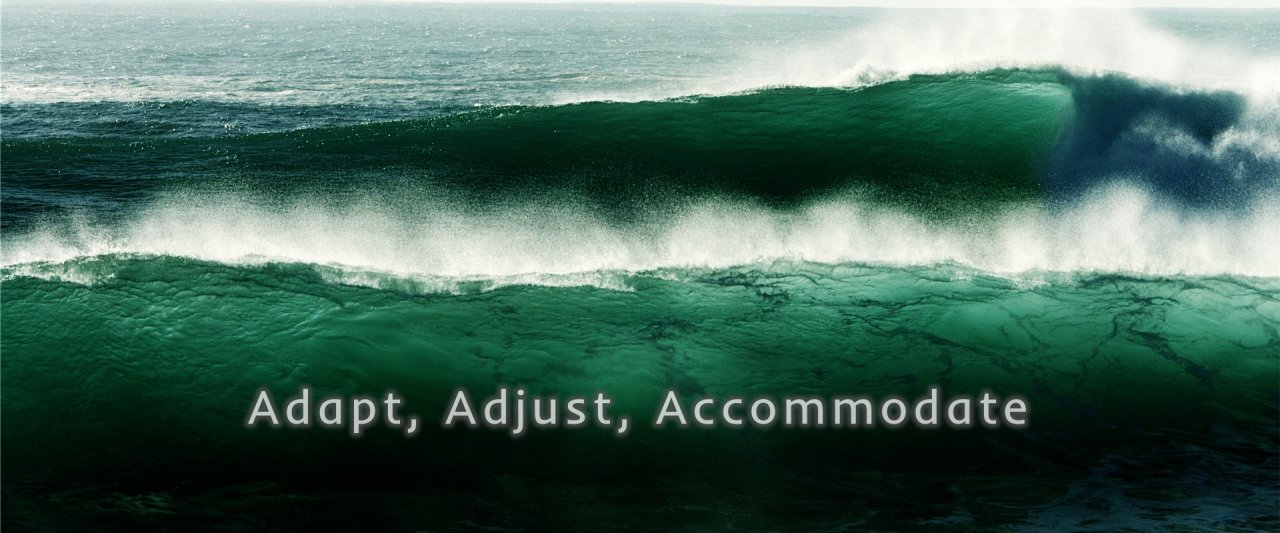 AdaptAdjustAccomodate_video_thumbnail_v2_0001.jpg
